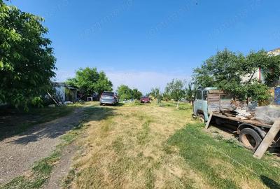 Spațiu comercial, de 600 mp, în Sânandrei - 4