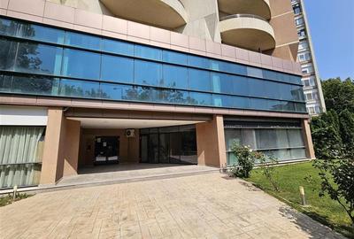 Vanzare Spatiu comercial stradal - Parter si Mezanin - 900 mp Vanzare Spatiu comercial stradal - Parter si Mezanin - 900 mp - 8