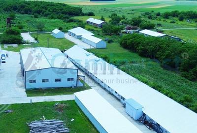 Spațiu industrial, de 1,290 mp, în Sălard - 3