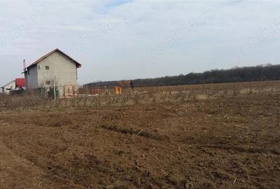 Teren în Găneasa - 1