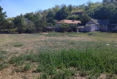 Casă cu 3 camere cu Teren 4429 Mp în Malcoci - 6