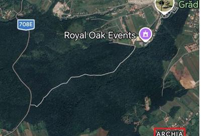 Teren de 10000 mp, în Central - 2