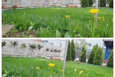 Casă cu 4 camere în Albești - 1