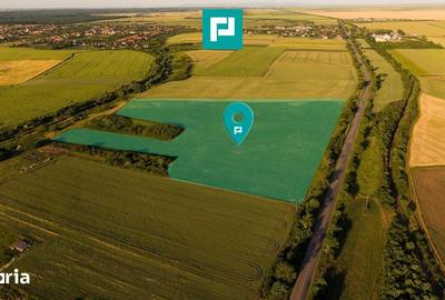 Teren de 42200 mp, în Secusigiu