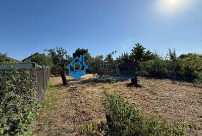 Caslita - teren 513 mp, pomi fructiferi, casa 2 camere - 2