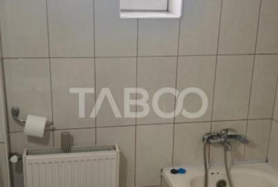 Apartament cu 2 camere de vanzare in Sebes zona centrala - 4
