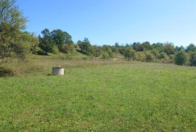 Teren Construcții intravilan de 8757 mp, în Luncoiu de Sus - 5