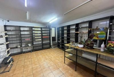 Casă individuală cu 5 camere cu Canalizare în Pantelimon - 11