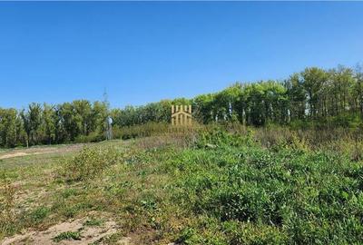 Teren de 180000 mp, în Șcheia - 4