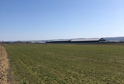 Teren extravilan de 4000 mp, în Mărăcineni - 7