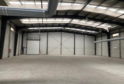 Spațiu comercial, de 736 mp, în Mogoșoaia - 11