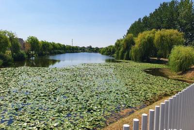 Spațiu comercial, în Chitila