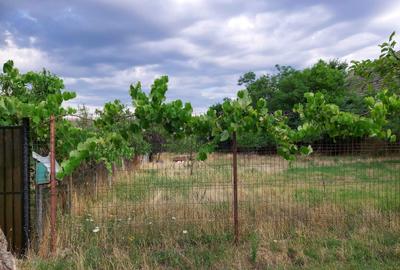 Casă cu 2 camere cu Teren 1400 Mp în Secusigiu - 1