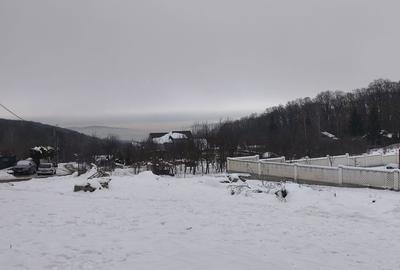 Teren de 858 mp, în Făget - 4