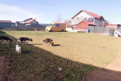 Vând teren Sânpetru Brașov cu utilități - 16