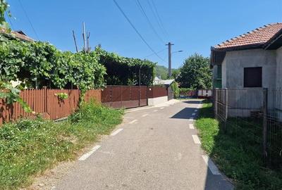 Casa traditionala, cu 2.000mp teren roditor, Izvoarele - 5