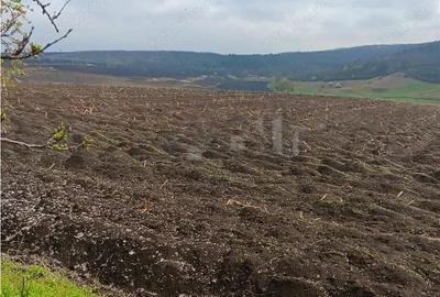 Teren de 46000 mp, în Dorobanț - 7