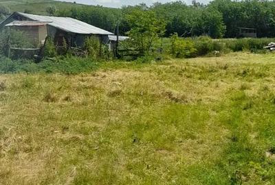 Teren de 2300 mp, în Borșa - 7