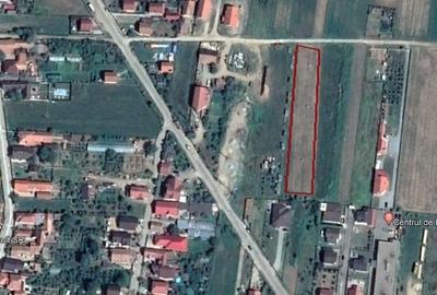 Teren Construcții intravilan de 6450 mp, în Ampoi 3 - 1