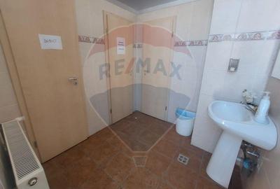 Apartamente de vanzare - 2