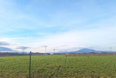 Teren de 5435 mp, în Hălchiu - 5