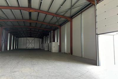 Zona Est - Drumul Intre Tarlale - A2 - str Oxigenului - Theodor Pallady - 5