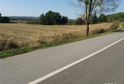 Teren de 11000 mp, în Fârdea - 4