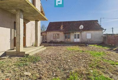 Proprietate impresionanta in Nadab - 9