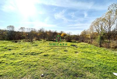 Teren Dem Radulescu 1092mp - 3