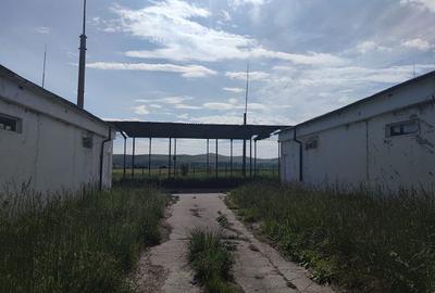 Hale pentru depozitare sau productie, teren aferent, vanzare sau inchiriere. - 4