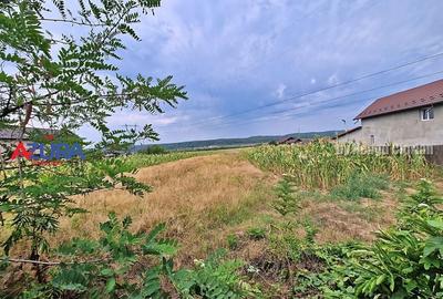 AZURA Imobiliare - Teren Budeasa Galasesti Calotesti - 9