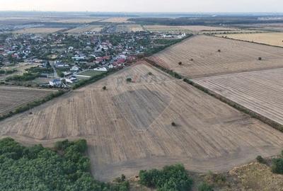 Ocazie investitie, teren intravilan Tamasi / Buftea - 2