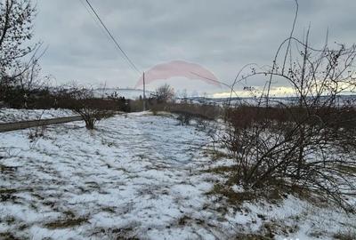 Teren de 10000 mp, în Rădășeni - 9