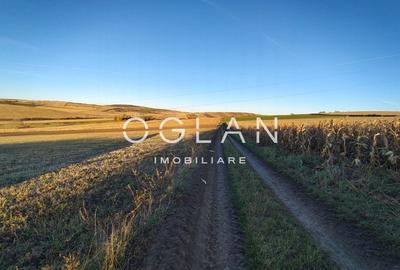 Teren intravilan cu PUZ pentru investitie - 26.100 mp - Sura Mare - 1