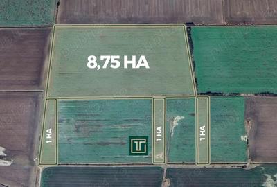 Teren de 117500 mp, în Turnu - 2