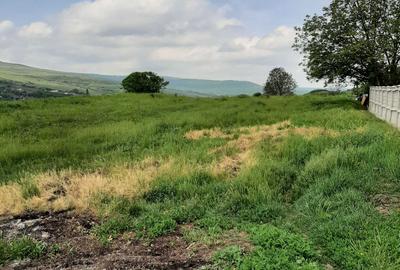 Spațiu comercial, în Central - 1