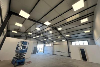 Hala 290,6 mp si 1263 mp teren, zona Carcea - 1