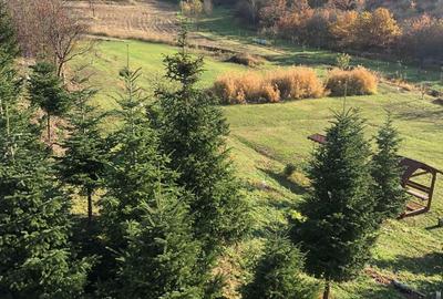 Casă cu 5 camere în Șiria - 3