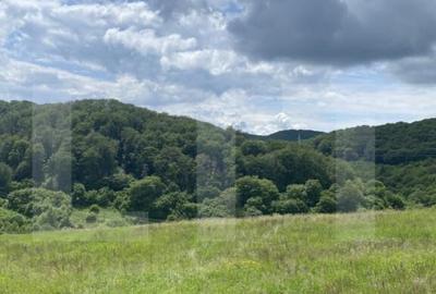 Teren cu poten?ial 1000 mp pe Dealul Partizanilor - 2