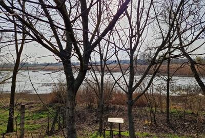 Teren - Roman  -Trifesti - iesire la lac - livada pe rod - 1