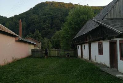 Vand casa ?i teren 2500 mp la munte in Valea Uzului. - 5