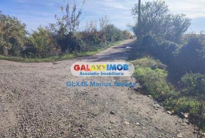 Vanzare teren extravilan Targoviste - 1