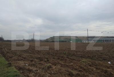 Teren de 13000 mp, în Mofleni