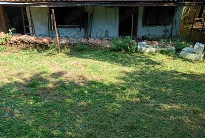 De vanzare casa batraneasca cu teren generos in Poiana Golului Re?i?a - 3