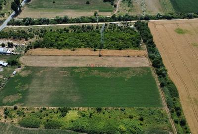 Teren Constructii Intravilan 4750mp SABARENI - 0% COMISION - 6