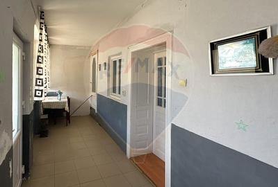 Casă individuală cu 3 camere cu Teren 2241 Mp în Sânnicolau Român - 5