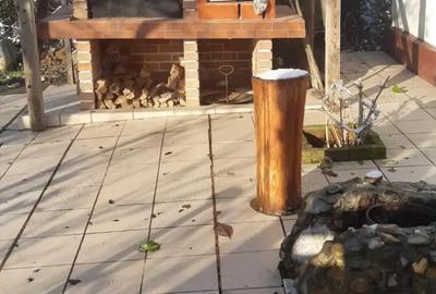 Casă cu 4 camere cu Teren 3400 Mp în Susag - 5