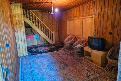 Proprietar - De vânzare Vilă - Casă vacanță  în Breaza - Str. Miron Căproiu - 14