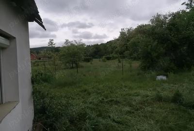 Casă cu 2 camere în Aleșd - 1