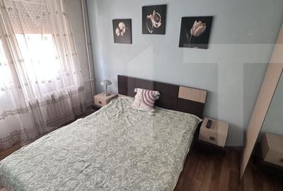 Apartament cu 2 camere în Șega - 3